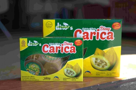 CARICA DINOS DUS