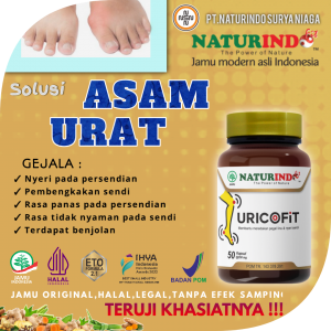 OBAT HERBAL ASAM URAT NATURINDO