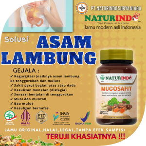 OBAT HERBAL ASAM LAMBUNG NATURINDO