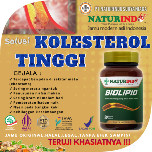 OBAT HERBAL KOLESTEROL TINGGI NATURINDO