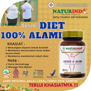 DIET 100% ALAMI NATURINDO