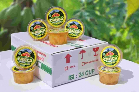 CARICA CUP 110 ML ISI 24