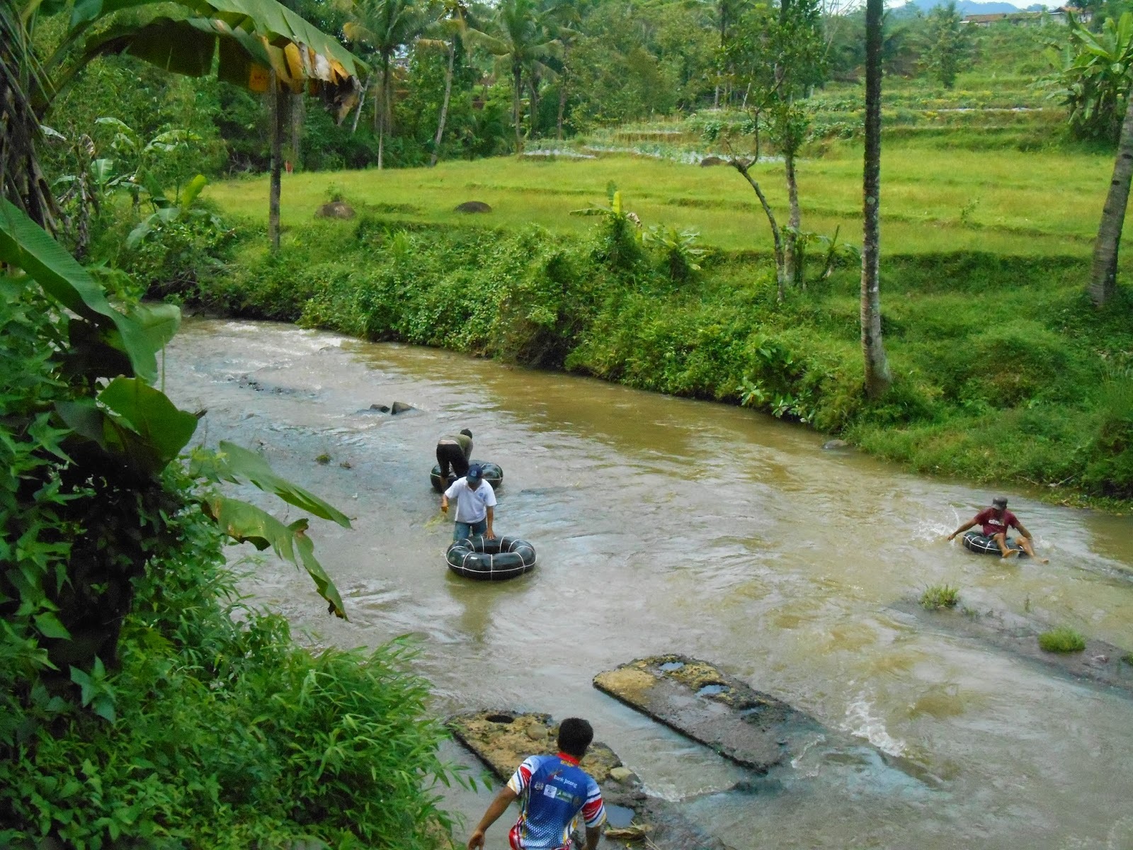 DESA WISATA SAWANGAN